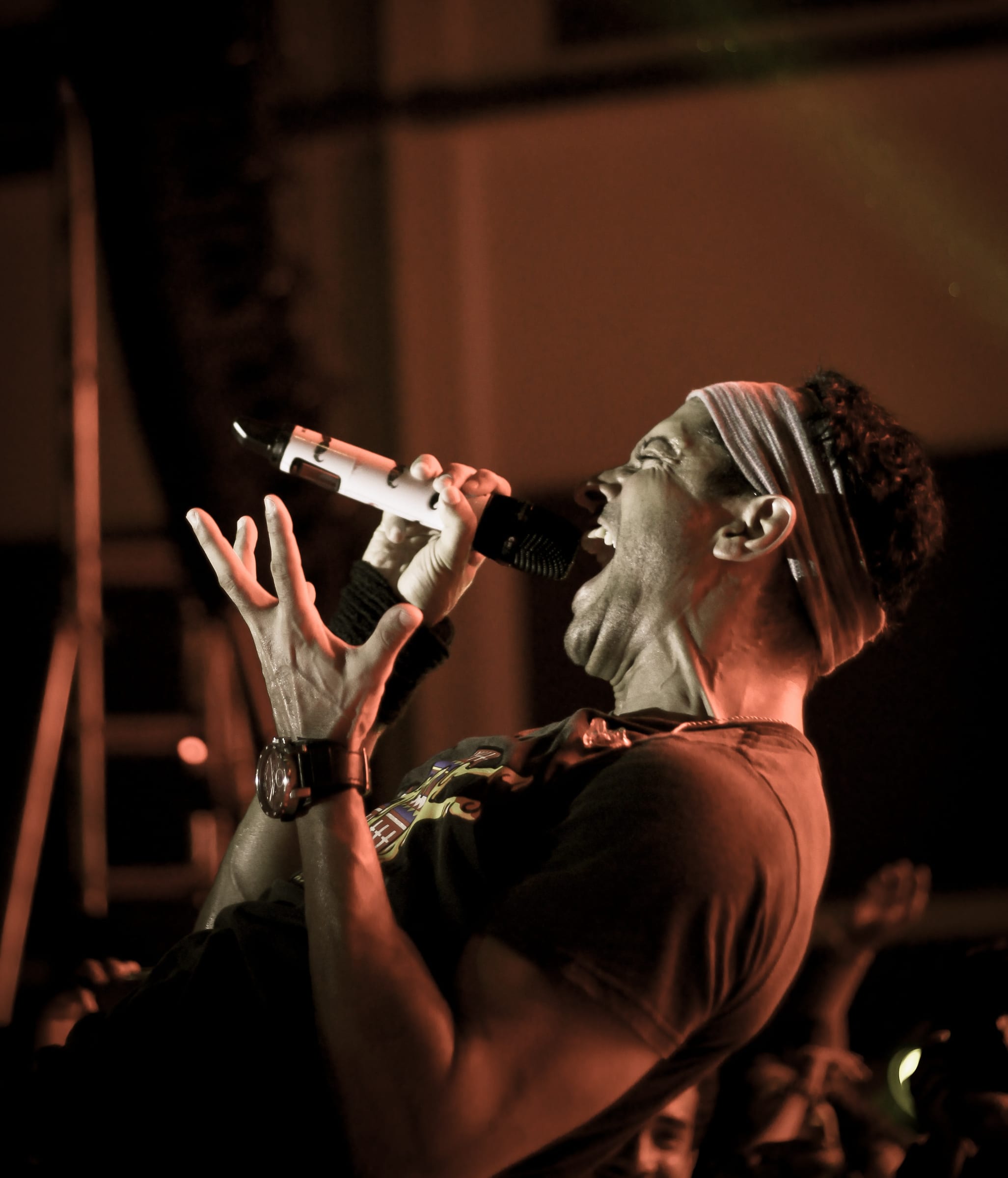 Vibrant Concert Experience